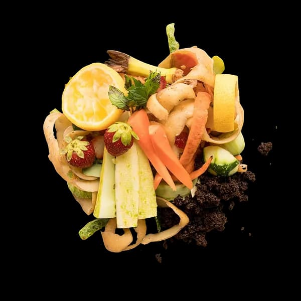 food waste